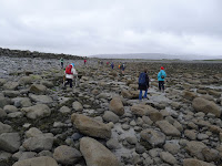 P1020436.JPG Photo