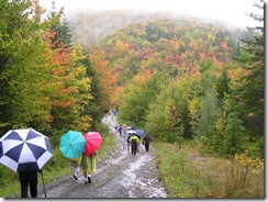 A CELTIC COLOURS WALK IN THE MARGAREE VALLEY