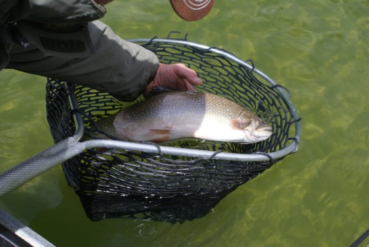 Picture from Hosmer Lake