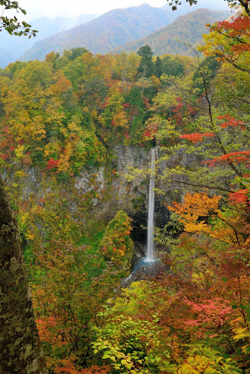 白水の滝
