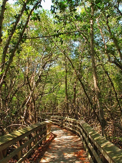 Everglades National Park by Bicycle West Lake Trail