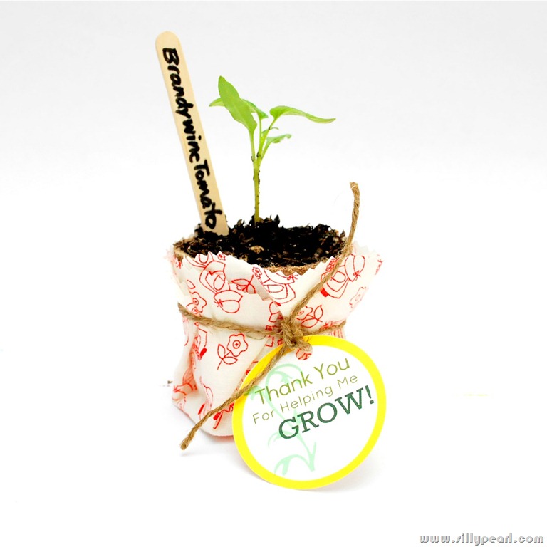 [Thank%2520You%2520For%2520Helping%2520Me%2520Grow%2520Free%2520Printable%2520Seedling%2520Teacher%2520Gift%2520Tag%2520by%2520The%2520Silly%2520Pearl%255B3%255D.jpg]