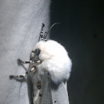 IMAG0339.jpg