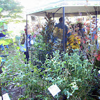 2006 Chamber Fall Festival