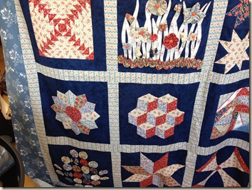 IMG_2354 IMG_2354