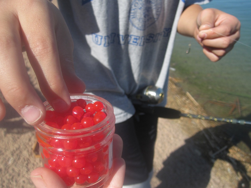 [fish3%255B4%255D.jpg]