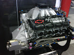 IMG00272-20090805-1443.jpg