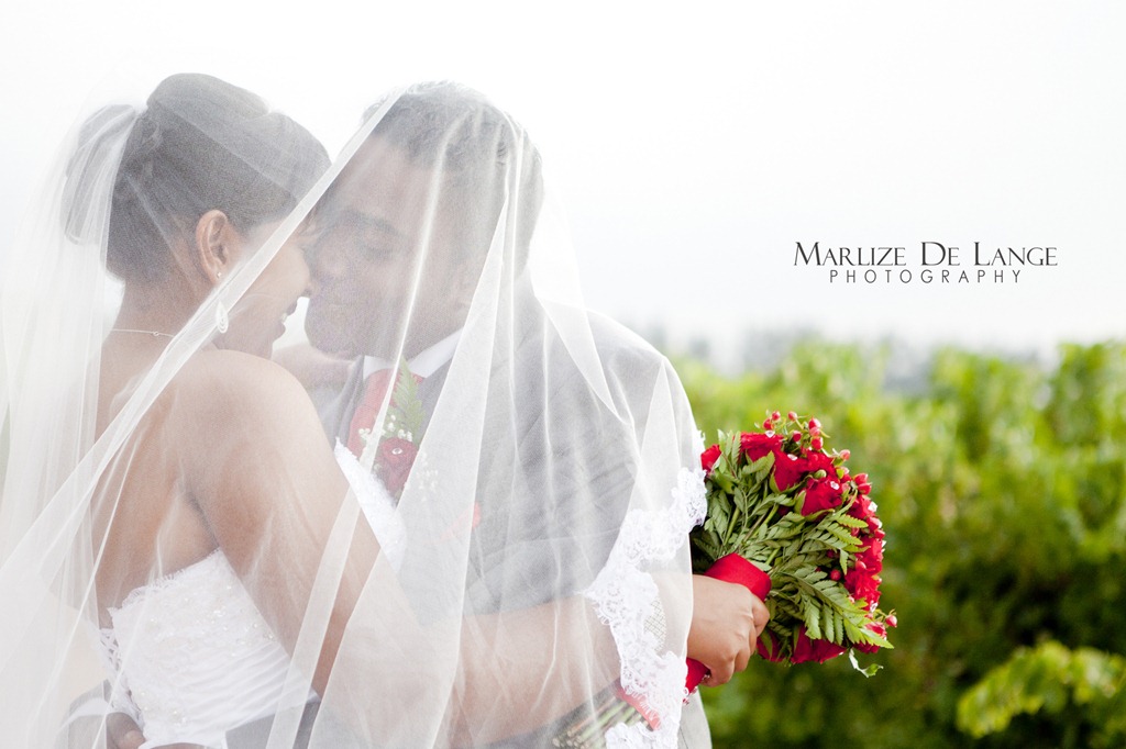 [IMG_3428%2520a%255B7%255D.jpg]