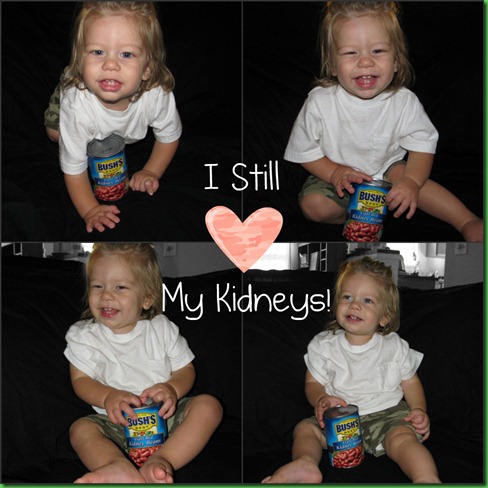 kidney collage 2