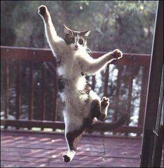 [1251879974_okroshka-1155158473_i_4210_full1%255B4%255D.jpg]