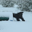 DSC_9252.JPG