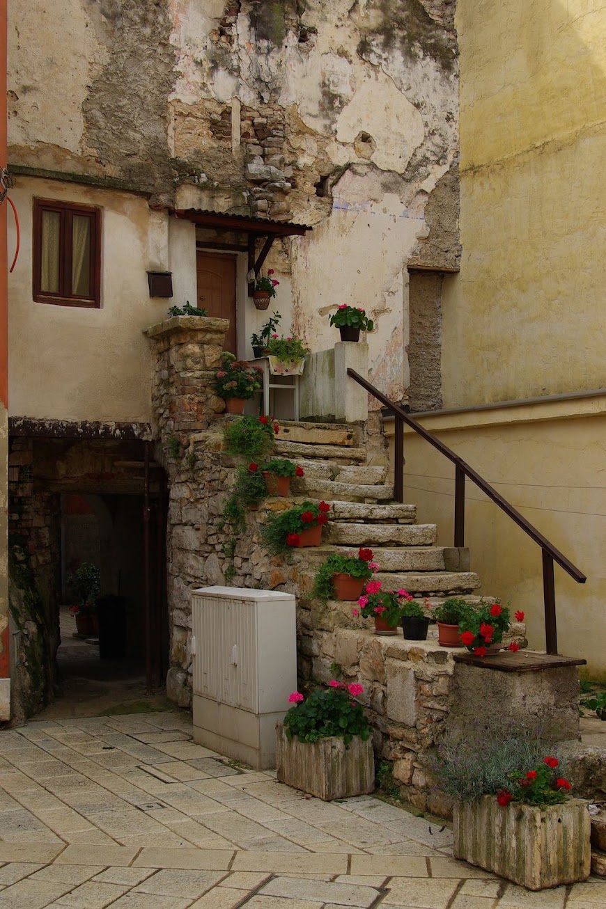 IMGP4429.JPG