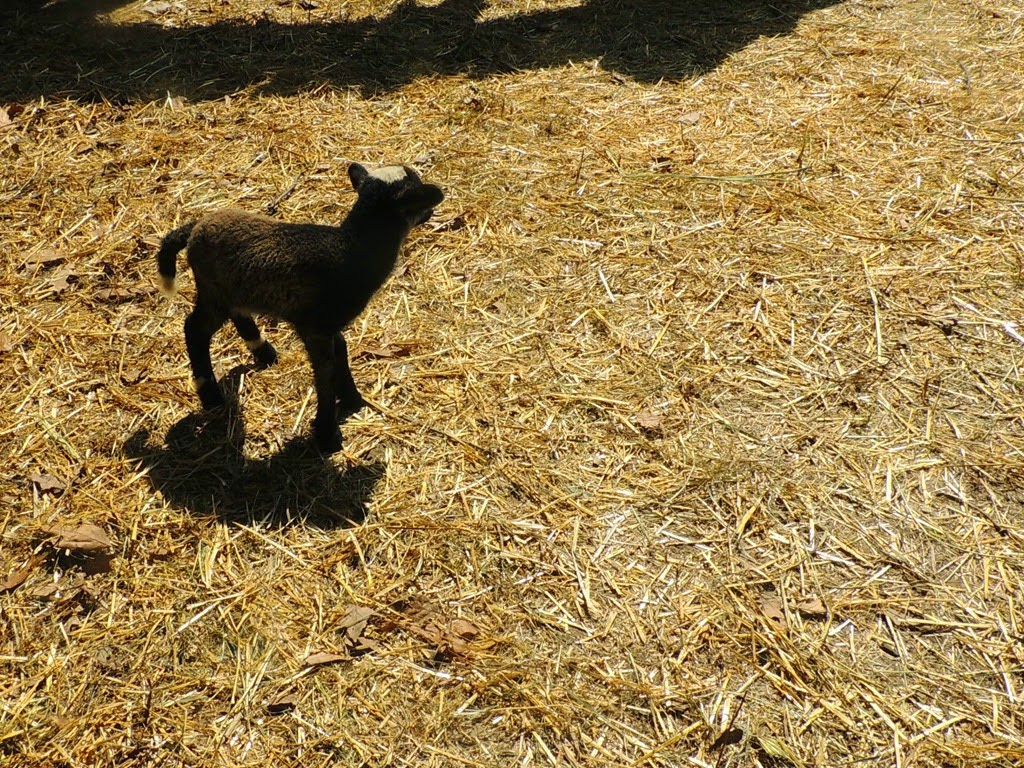 [DSCN0169%255B3%255D.jpg]