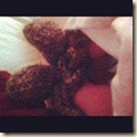 IMG_0159 IMG_0159