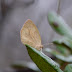P1170943