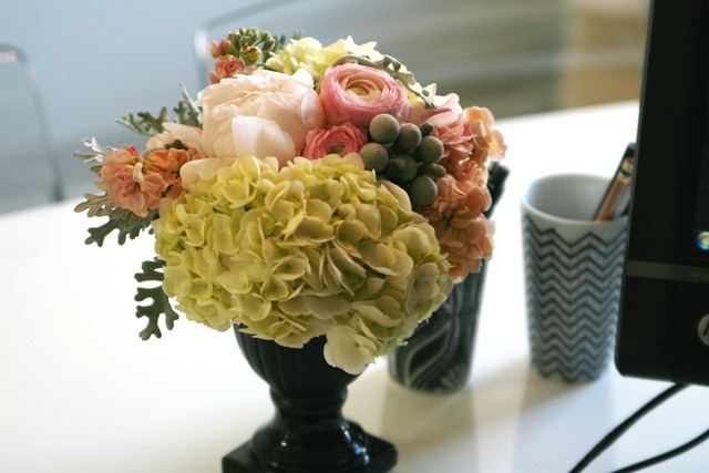 [6a010535ded4be970c0162fbf62e56970d-j%255B2%255D.jpg]