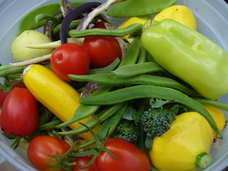 [AugustProduce%255B3%255D.jpg]