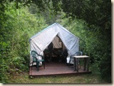Hilton Tent