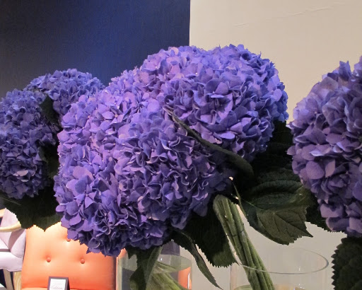 More rich blossoms. More rich blossoms.