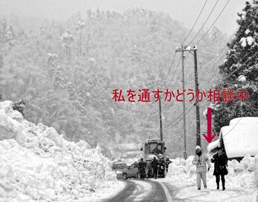 DSC04401 DSC04401