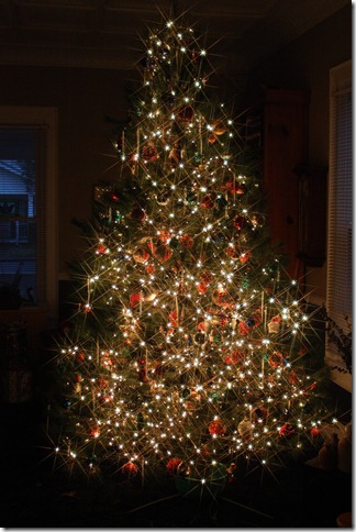 IMG_7733 IMG_7733