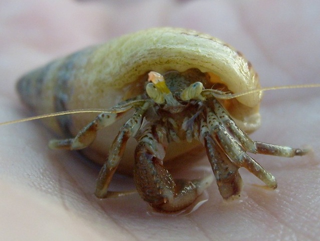 [S63030271-1%255B2%255D.jpg]