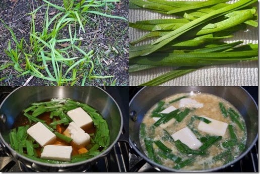 Garlic chive soup