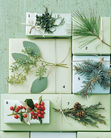 1. Eastern Juniper, 2. White Pine, 4. Eucalyptus, 5. Blue Spruce, 6. Burford Holly, 7. Redwood. 1. Eastern Juniper, 2. White Pine, 4. Eucalyptus, 5. Blue Spruce, 6. Burford Holly, 7. Redwood.