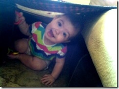 IMG_6053 IMG_6053