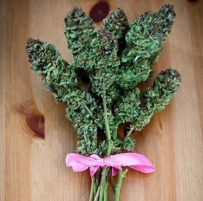 [not%2520tuscan%2520kale%255B4%255D.jpg]