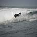 _MG_8957.JPG