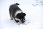 _DSC0054.JPG