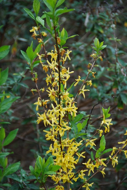 [DSC_0103%255B5%255D.jpg]