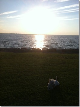photo_2