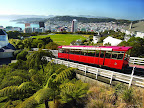 Sprachaufenthalt Wellington