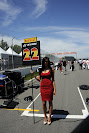 Wallpapers 2012 F1 Pit & Grid girls