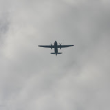 IMG_3582.JPG