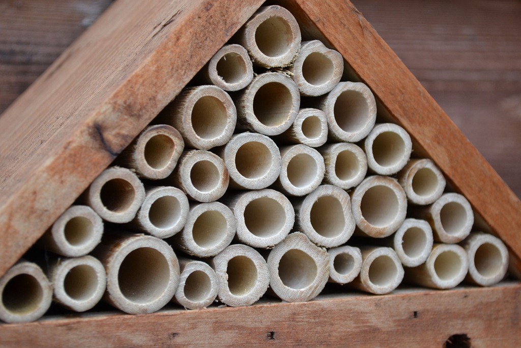 [Pyramid%2520for%2520Leaf-cutter%2520bees%255B3%255D.jpg]