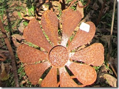 IMG_4352 IMG_4352