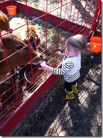 IMG_2276 IMG_2276