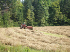 Making hay