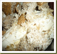 Polpette di pollo con crema di riso e zucchine (3)