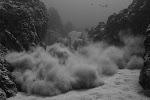 20100521-IMG_8272