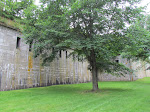 IMG_1649.jpg