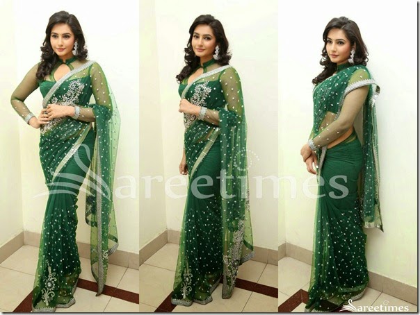 Ragini_Dwivedi_Green_Net_Saree Ragini_Dwivedi_Green_Net_Saree
