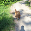 IMG_2035.jpg