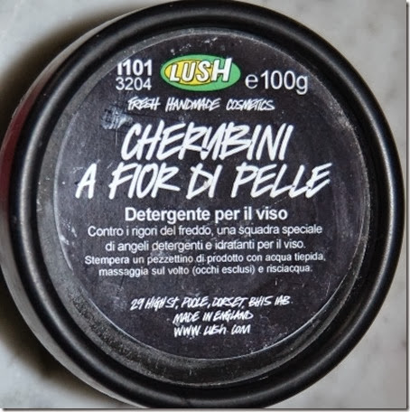 Cherubini a fior di pelle Immagine Cherubini a fior di pelle