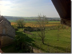 IMG_2546 IMG_2546