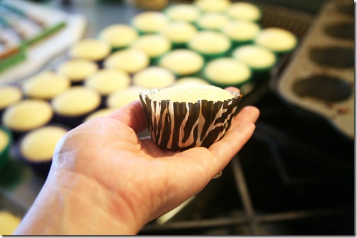IMG_7566 IMG_7566