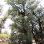 DSCN9685.JPG